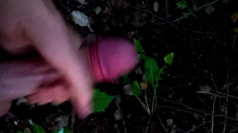 Fish Cam: Twink Took the Train From the City to the Forest...