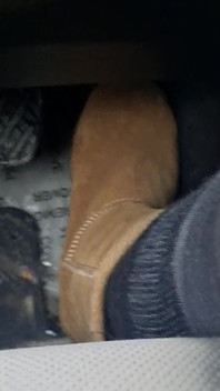 Lái xe khởi động Ugg