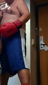 Chubby Bear Boxer Vs Jobber