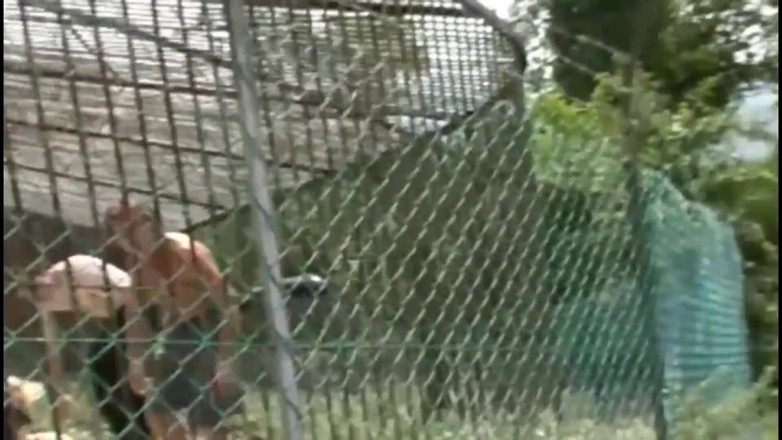 My real dirty life: Vicini kinky: piscio, sottomissione, pompini e sesso nel cortile