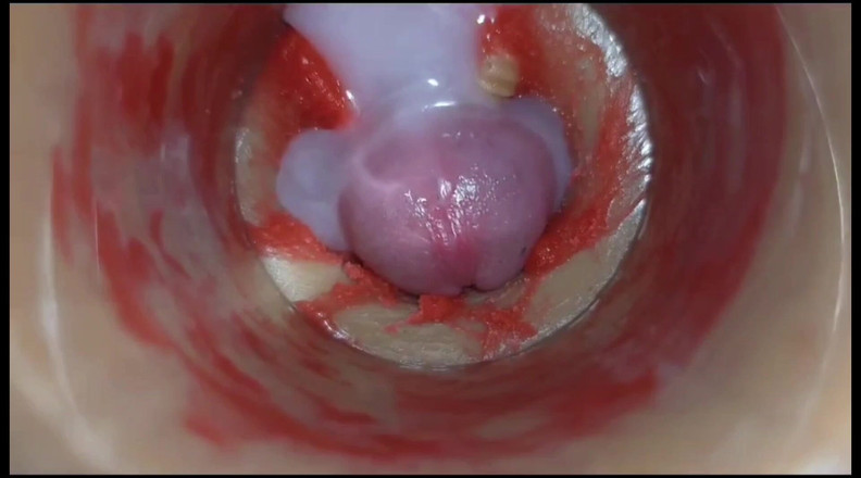 Creme sperm: Mejor Compilación De Coño Preñado - Cámara Adentro 4K