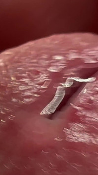 Big White Penis Squirts in Closeup