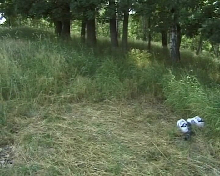 BB Video - Vintage Story: Alemã milf amadora orgia mijando em peitos grandes