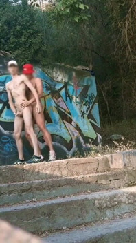 Seks kembar pagi di taman