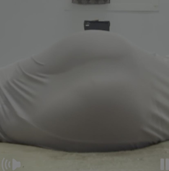 VerticalArgument4: Ця дупа