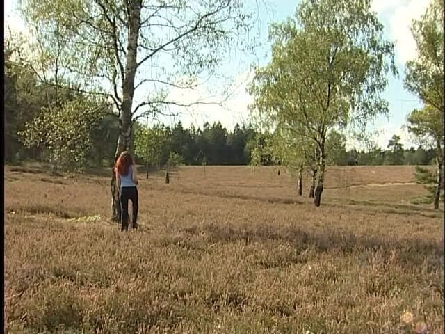 Lucky Cooch: Passeggiando lungo il lato della campagna