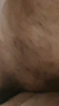 Motelul Bear