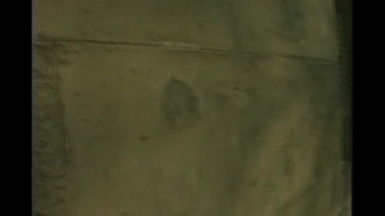 Xtime Network: Hari yang gila banget!! - Bab #05
