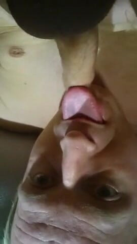 Lov2selfsuck: El mejor orgasmo con cada gota de semen en la...
