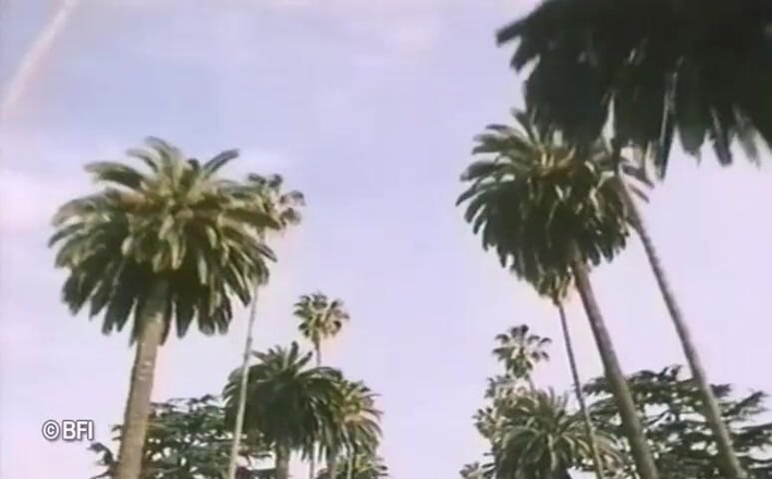 Vintage Vixens: Beverly hills vintage sex tape - dutch subtitles