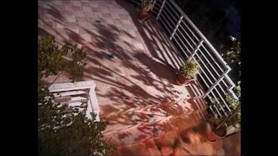 Muschi movie official: Vintage fyrkant porr med två MILFs och två stora kukar