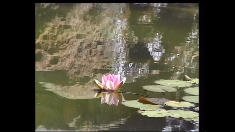 MMV TV - our best full movie: I'll Bang You at Will