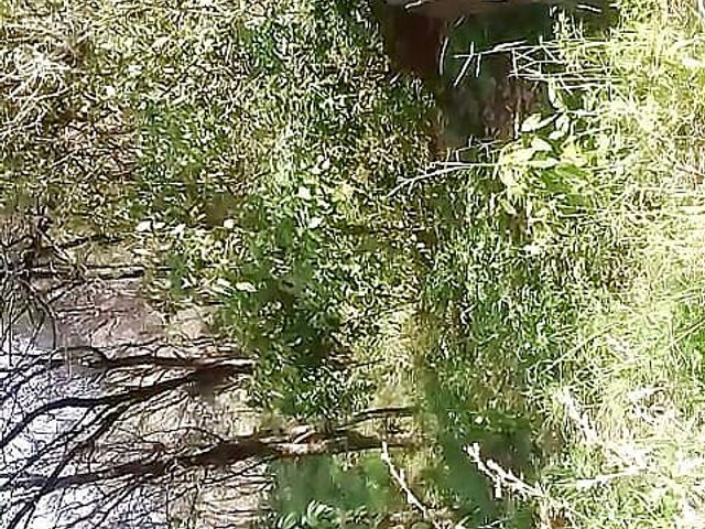 Suhani Boyfriend in Jungle Caught Pissing (Xhamster stroks)