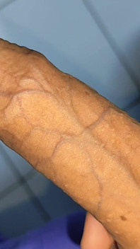 Big Dick Pumping Tree Cock Veins.