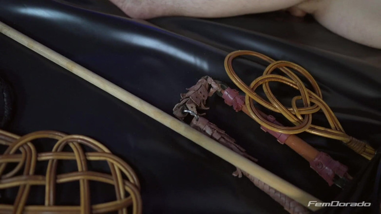 FemDorado: Controll you with our whips.