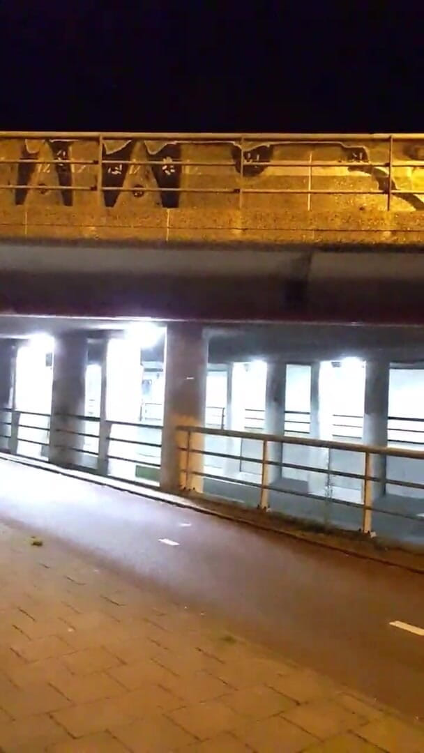 Slutboyben: Slutboyben cam4 色情片在 cam4 上直播