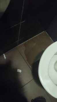 Pissing