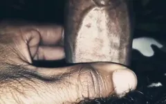 Il mio cazzo cimice