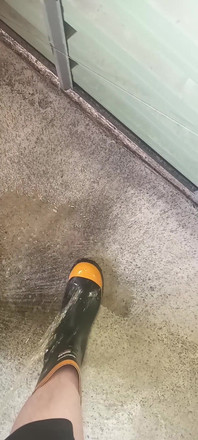Pissing on Steel Toe Black Rubber Wellies