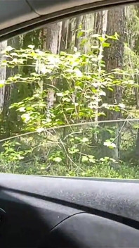 A Married Slut Got Lost in the Forest, Helped Her Out and She Agreed to Cheat on Her Husband