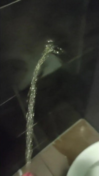 Pissing