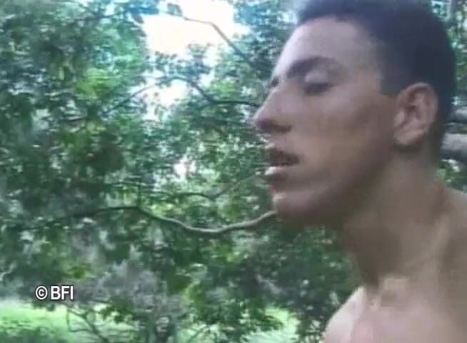 Ladyboy Paradise: Ghairah transeksual Brasil 5