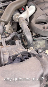 Helpful Runner Finds Panties in the Engine and Gets the Best Thank-you Sex Ever
