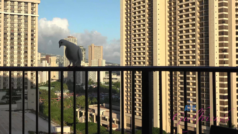 ATK Fans (Girlfriends): Virtual vacation in hawaii with alexa grace part 1