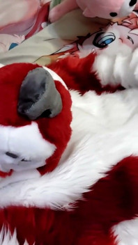 Jerking off and Showing Footpaws in Full-body Fursuit