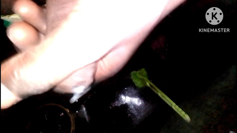 Hotdick_rohit: Indický 20letý panna Rohit sexy tělo hardcore honění s naším velkým...