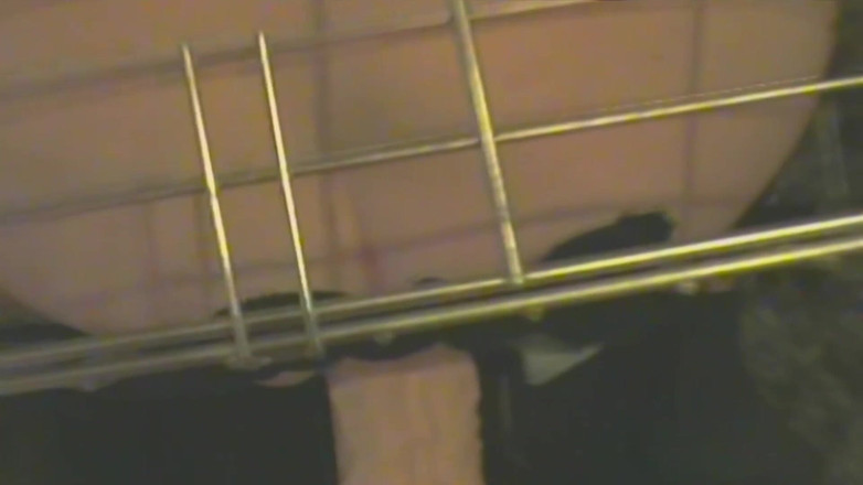 No limit cbt slave: Slav i bur får analsex utnyttjad