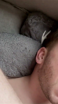 Brauchte seine ladung heute morgen