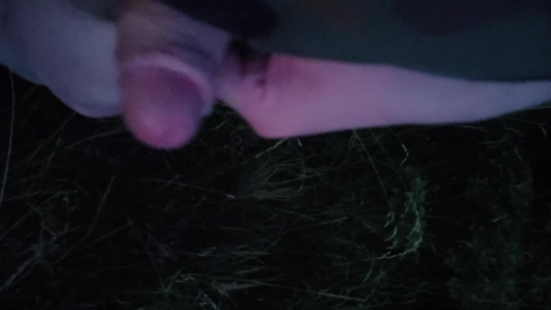 Player026: Nice Wank w parku