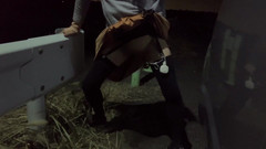 megu2002: Pose du chien n°32 d’entraînement indépendant lors d’une promenade nocturne