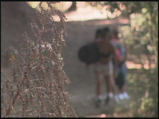 Hot Girlz: Nejlepší letní tábor s mými spolupracovníky