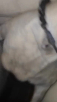 Peeing Outdoors in the Dark Rubbing My Hairy Pussy