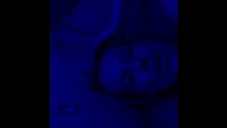 We the North Entertainment: Cassie Quinn мастурбирует моим членом