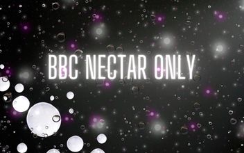 BBC Nectar Only