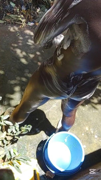 Mature Hard Black Dick Gets Real Shower