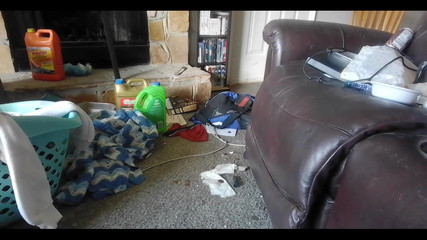 ElementX1018: 昨晚直播中的填充视频