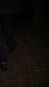 Blondes teen, sperma-schlampe grace harper besahnt ihr höschen, während sie ihre titten auf einer anderen dogging-mission mit sperma bedeckt bekommt