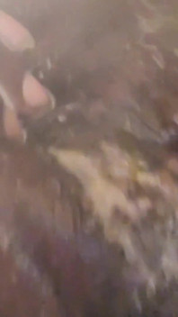 Wet and Creamy Anal