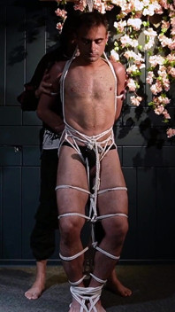 Zeus - escravidão sensual em suspensão