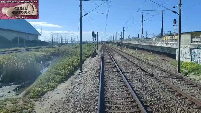Casal Gresopio films: Horror Train 4