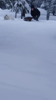 Cosa fai quando nevichi