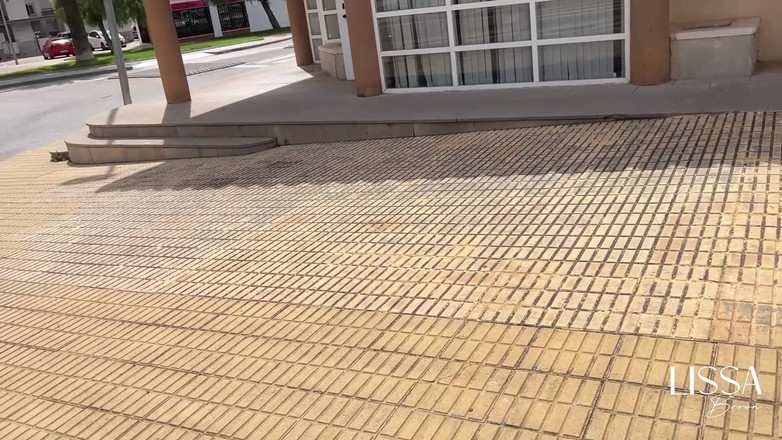 Lissa Brown: Aşırı halka açık titreşimler - tren - açık havada - oyuncak