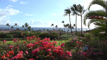 ATK Fans (Girlfriends): Liburan virtual di hawaii sama kristen scott bagian 6