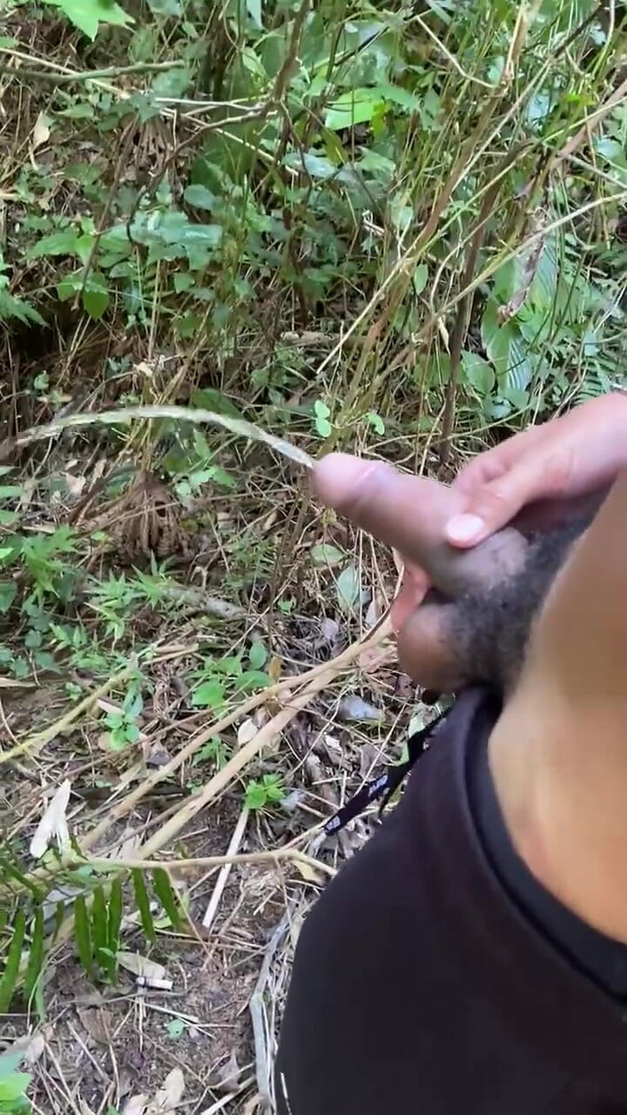 Vida Noite: Kencing dengan penuh gairah di jalan setapak