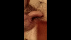 maxpassive: Manželka fistí manžela