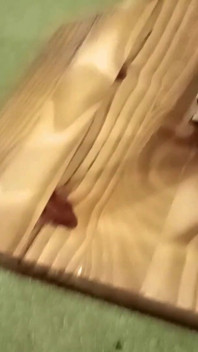 Fleshlight Stand Fuck Masturbation
